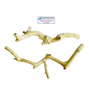 Tendencia 2026: Soporte para Pájaros de Madera de Java, Percha Grande para Loros, Accesorios Naturales de Madera para Mascotas al por Mayor - Product Image 3