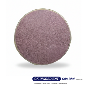 Polvo de Jugo de Arándanos de Primera Calidad, Halal, OEM, B2B, Mejor Proveedor Garantizado, Natural, Salud Ocular, Antioxidante, Superalimento - Product Image 3