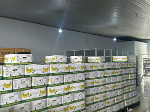 Bananes Cavendish fraîches du Vietnam goût sucré et texture lisse emballées pour l'exportation, idéales pour le marché de détail et de gros - Product Image 2