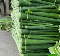 Bevroren Bananenblad Bevroren Bananenblad Om Iqf Ronde Bananenbladhoek Te Exporteren