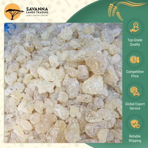 Fabricante y Proveedor Líder en Indonesia, Resina de Goma Damar de Primera Calidad 100% Genuina, Servicio OEM Personalizado - Product Image 3