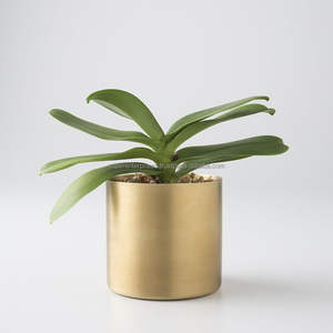 Support de plantes en métal élégant à plusieurs niveaux pour herbes, succulentes et fleurs dans les appartements compacts - Product Image 1
