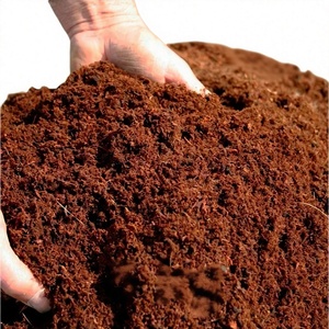 Greenglobe Exports India Private Limited Bloc de tourbe de coco naturel écologique pour le jardinage, léger et biodégradable - Product Image 1