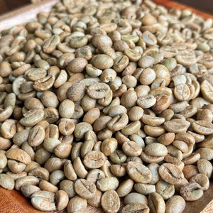 Bulk Green Robusta <b>Beans</b> 90 Ripe Honey Processed Premium Unroasted Raw Coffee For Roasters Wholesale Price Vietnam - Product Image 2