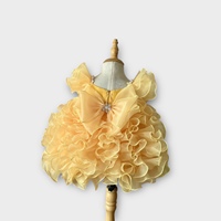 Nhung Nguyen haute qualité Tulle filles robe de soirée courte nuage conception livraison rapide pour les enfants de 12 ans ODM approvisionnement