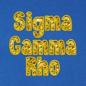 Sweat-shirt décontracté à manches longues et col rond pour femme, avec broderie de faux sequins Fashion Sigma Gamma Rho, motif lettres grecques de sororité - Product Image 6