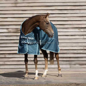 Couverture d'extérieur pour cheval en forme de U, respirante, légère, 1200D, pour dressage, avec col détachable, pour toutes les saisons, confort et protection - Product Image 6