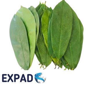 ใบชาซุปเปอร์ฟรุตออร์แกนิกยอดนิยมเพื่อการผ่อนคลายตามธรรมชาติและการสนับสนุนไลฟ์สไตล์เพื่อสุขภาพที่ดี - Product Image 5