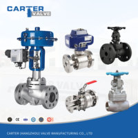 Vanne à opercule haute pression en acier inoxydable 20 #   Bride de serrage 1Cr5Mo à cale hydraulique, résistante aux acides, GB/T 13927 ASME B16.34 Carter, Garantie 1 an