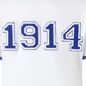 Camiseta Premium de Chenilla con Letras de Phi Beta Sigma 1914 para Hombre, Ajuste Cómodo, Ropa de Fraternidad Griega de Alta Calidad - Product Image 3