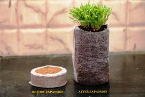 Pellets de Fibra de Coco de Primera Calidad para Viveros y Jardinería Doméstica del Principal Exportador de la India, GEEWIN EXIM - Product Image 3