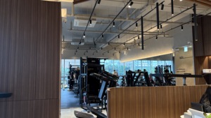 เครื่องวิเคราะห์ร่างกายอัจฉริยะ Bodydot BDF1000 ใช้พลังงาน AI โครงอะลูมิเนียมอัลลอยด์ ไม่สามารถพับได้ ติดตามท่าทางร่างกายแบบเต็มตัว ขนาด 35*35*134 ซม. - Product Image 4