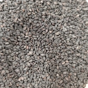 Graines de sésame noir décortiquées naturelles, saveur riche, récolte sélectionnée, export en vrac, emballées dans des sacs robustes pour l'importation en gros - Product Image 3