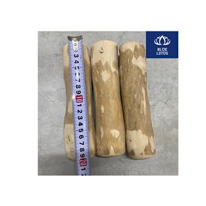 LA MEJOR OPCIÓN: Madera de Café Ecológica, Segura y Limpia para Masticar, Artículo de Madera Pura para Mascotas, Ideal para Perros, Alivia el Estrés, Venta Directa de Fábrica - Product Image 1