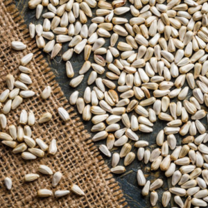 Semillas de Cártamo Crudas Limpiadas a Máquina para Exportación a Granel, Semillas de Cártamo Secas al Sol Naturales para Suplemento Dietético - Product Image 2