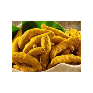 Racine de curcuma fraîche entière, épaisse et allongée, épice indienne, à haute teneur en curcumine, herbe unique - Product Image 4