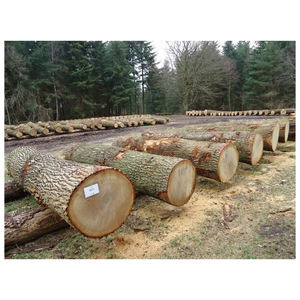 Bûches de chêne de haute qualité, bois dur pour la fabrication de meubles et le traitement du bois industriel, exportation - Product Image 1