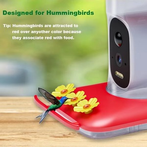 Telecamera per Mangiatoia per Uccelli AI con Visione Notturna, Rilevamento Movimento PIR HD 5MP, Visualizzazione in Tempo Reale, Alimentata a Energia Solare per Giardino Esterno - Product Image 5