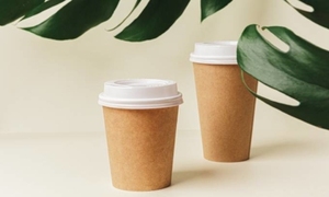 13 Years Factory Disposable Paper <b>Cups</b> for Coffee Tea Takeaway Eco Friendly <b>White</b> Paper <b>Cups</b> 6oz 9oz 10oz Free Sample - Product Image 5