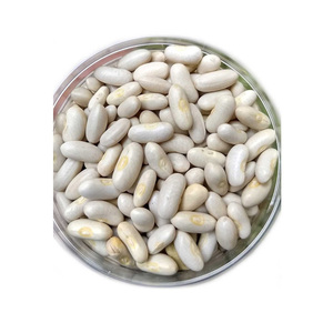 Frijoles Blancos de la Mejor Calidad en Venta a Precio Económico, Frijoles Blancos al Por Mayor a Precio Económico, Los Mejores Frijoles Blancos en Venta al Por Mayor - Product Image 5