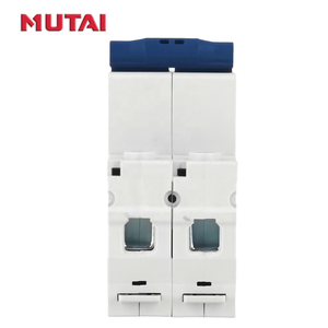 MUTAI Factory AC <span class=keywords><strong>Disyuntor</strong></span> 16 <span class=keywords><strong>20</strong></span> 25 32 50 63 <span class=keywords><strong>Amp</strong></span> MCB Precio 2 Polos 2 P <span class=keywords><strong>Disyuntor</strong></span> eléctrico en miniatura - Product Image 5