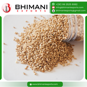 Semillas de Sésamo Blancas de Alta Calidad, Ricas en Proteínas y Nutrientes, Tamaño Uniforme, Listas para Comer, Procesamiento Crudo, Paquetes Personalizados, Industria de Alimentos para Animales - Product Image 4