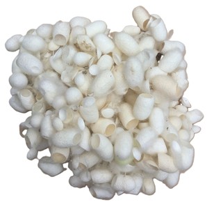 Outil de soin du visage exfoliant écologique en cocon de soie naturelle VietDelta, pour éliminer les points noirs, soin doux de la peau, fibre de 35 cm - Product Image 1