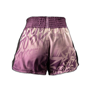 Pantalones Cortos de Muay Thai Personalizados, Ropa de Combate Profesional de Primera Calidad, Fábrica OEM para Marcas Privadas y Compradores Mayoristas - Product Image 3