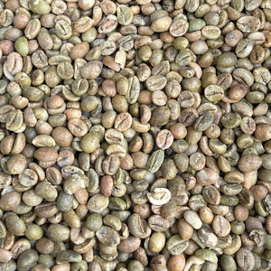 เมล็ดกาแฟอาราบิก้าบราซิลคุณภาพพรีเมียม ขายส่งจำนวนมาก พร้อมจัดส่งสำหรับส่งออก - Product Image 4