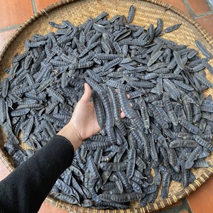 Honey Locust para champú para cabello suave Embalaje OEM a granel Extracto de planta Boket seco para cabello débil y pérdida de cabello - Product Image 4