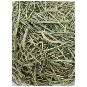 หญ้าทิโมธี/หญ้าอัลฟัลฟ่าคุณภาพดีที่สุดสำหรับขาย - Product Image 2