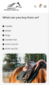 Selle de course synthétique personnalisée TRIDENT INTERNATIONAL TI101OA011 pour chevaux d'exercice, vente en gros ODM, selle d'équitation anglaise pour courses de chevaux - Product Image 3