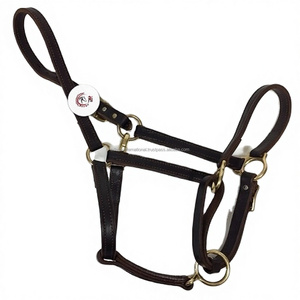 High Quality Premium Horse Products Leather Horse <b>Halter</b> - Product Image 1