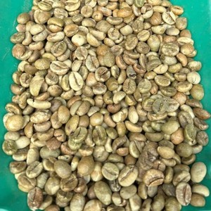 เมล็ดกาแฟเวียดนามโรบัสต้า ขนาด 16 แบบเปียกขัดเงา กาแฟดิบ ไม่ผ่านการคั่ว สำหรับส่งออกจำนวนมาก ผู้จัดจำหน่ายกาแฟเอสเพรสโซเข้มข้น - Product Image 2