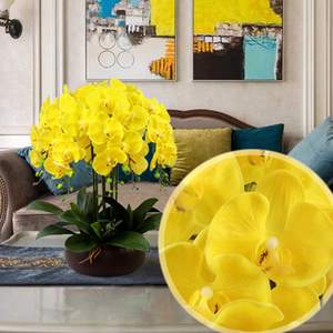 THAF-004 Fleurs d'orchidées Phalaenopsis artificielles en latex de 32 pouces, tiges de plantes pour la décoration de la maison - Product Image 6