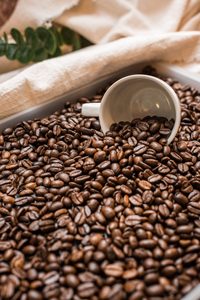 กาแฟโรบัสต้าคั่วบดชนิดพิเศษ ปริมาณมาก ผลิตในเวียดนาม ได้รับการรับรองจาก USDA ปริมาณสิ่งแปลกปลอม 0.1% - Product Image 5