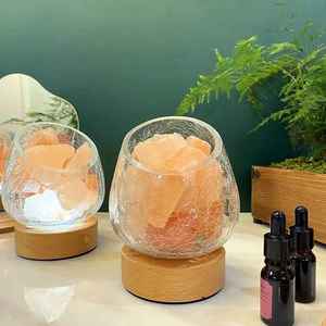 Lámpara de Sal del Himalaya con Forma de Animal Personalizada, Marco Metálico, Lámpara de Noche de Sal Natural, Alimentación USB, LED Regulable, Ra80, Control por Botones - Product Image 2