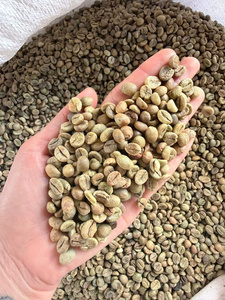 เมล็ดกาแฟโรบัสต้าคุณภาพสูง แบบดิบ ไม่ผ่านการคั่ว รสชาติเข้มข้น จำหน่ายเป็นกิโลกรัม เมล็ดกาแฟดิบ เมล็ดกาแฟดิบ - Product Image 3