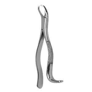 Pinzas de Extracción Dentales Americanas # Extractor de Dientes Quirúrgico Manual de Acero Inoxidable para Molares Inferiores 1 y 2, con Empuñadura Ergonómica - Product Image 3