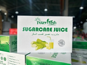 Bebida Refrescante Interfresh, Puré Filtrado NFC con Jengibre de Color, Marca Personalizada para Minoristas de EE. UU. y Canadá |   HACCP HALAL - Product Image 5