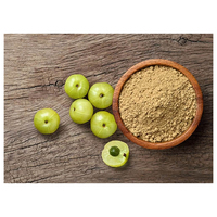 Koop natuurlijk Amla fruitextractpoeder van voedingskwaliteit voor functionele voedingsmiddelen en dranken als grondstof