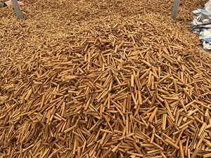 Bâtonnets de cannelle de Cassia de qualité supérieure 85% 90% pour cigares et cigarettes, Cassia 80, haute qualité. - Product Image 3