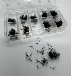 Extensiones de Pestañas Coreanas PBT Negro Mate de Alta Calidad, en Caja, 500/1000 Unidades, 3D-14D, Base Puntiaguda, Longitud Mixta - Product Image 5