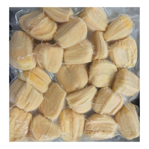 Ingredientes de Jaca Congelada de Alta Calidad, Adecuados para Marcas de Alimentos y Distribuidores que Buscan un Suministro Premium de Frutas Tropicales - Product Image 2