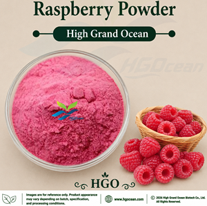 HGO Factory Direct Supply of Pure Natural Raspberry Powder (Food Grade) Fruit powder Spray Drying or Freeze-dried powder - Product Image 1