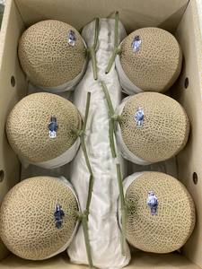 Enorme Variedad de Melones de Calidad Admirable con Amplia Selección de Variedades de Pulpa Verde y Roja - Product Image 3