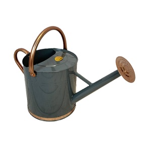 Arrosoir en métal au design élégant, finition blanche rustique, pour la décoration de la maison et du jardin, porte-fleurs, arrosoir pour plantes - Product Image 2