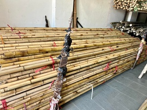 Varas de Bambú Dorado Tratado de Vietnam, Paquete de Varas de 1-10 m de Largo, Sólidas y Gruesas para Agricultura, Construcción y Decoración del Hogar - SAFIMEX - Product Image 2