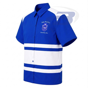 Zeta Phi Beta ZPB Sorority Women's Striped Button <b>Down</b> Shirt Short Sleeve Blue White Color blocking Casual Spring Summer T-shirt - Product Image 2