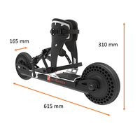 Patins à roulettes détachables à deux roues pour adultes, patins en ligne, patins à roulettes lumineux